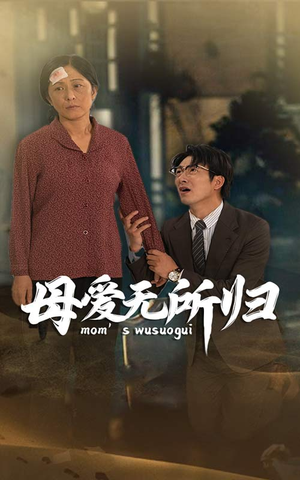 母爱无所归(33集) 母爱无所归(33集)热播短剧重燃