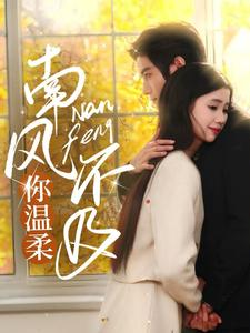 南风不及你温柔(74集) 南风不及你温柔(74集)经典老剧免费看