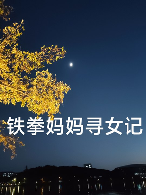 铁拳妈妈寻女记(69集) 铁拳妈妈寻女记(69集)精彩热门短剧