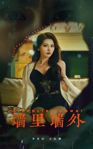 墙里墙外（55集）短剧在哪里看