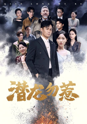 潜龙勿惹（75集）经典老剧免费看