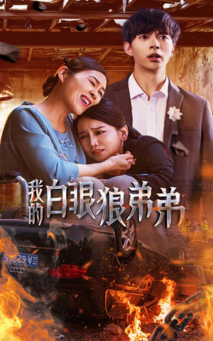 我的白眼狼弟弟(69集) 我的白眼狼弟弟(69集)热门火爆短剧