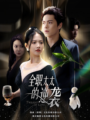 全职太太的逆袭(80集) 全职太太的逆袭(80集)最火爆短剧