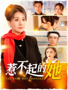 惹不起的她(106集) 惹不起的她(106集)全网独播免费看