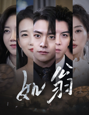 如翁(32集) 如翁(32集)全集