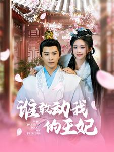 谁敢动我的王妃(62集) 谁敢动我的王妃(62集)穿越短剧推荐