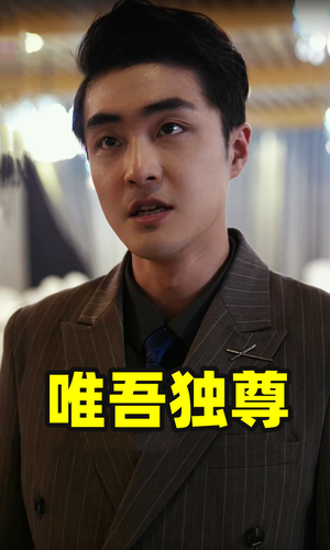 唯吾独尊(96集) 唯吾独尊(96集)爆款短剧一起追