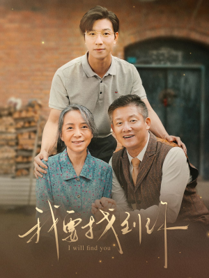 我要找到你（68集）免费短剧合集