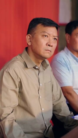 双生荣耀(71集) 双生荣耀(71集)精彩的网络短剧