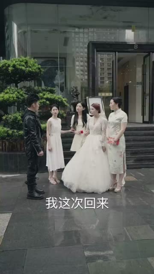 新版:枭龙(71集) 新版:枭龙(71集)完整版免费观看