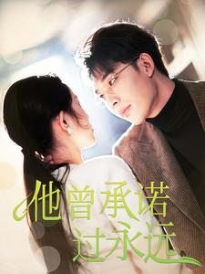 他曾承诺过永远(70集) 他曾承诺过永远(70集)大结局太过瘾了