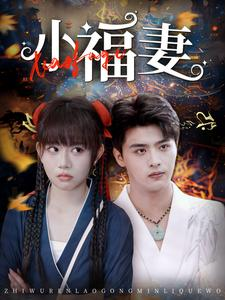 小福妻(62集) 小福妻(62集)全剧免费观看
