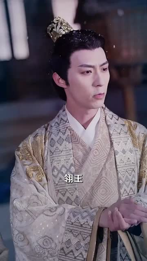 他的东宫意难平（85集）全季一次看完