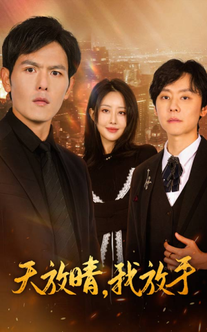 天放晴,我放手(35集) 天放晴,我放手(35集)网盘在线观看