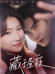 藏于昼夜(68集) 藏于昼夜(68集)真的太好看了