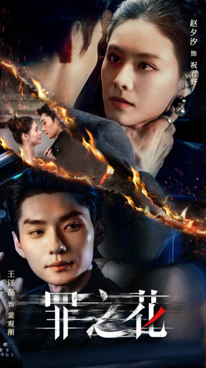 罪之花(56集) 罪之花(56集)短剧在哪里看