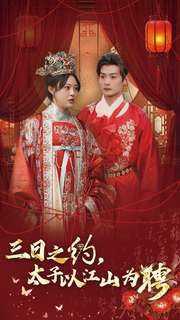 三日之约太子以江山为聘（30集）解说文案