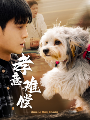 孝意难偿（32集）好看短剧追不停