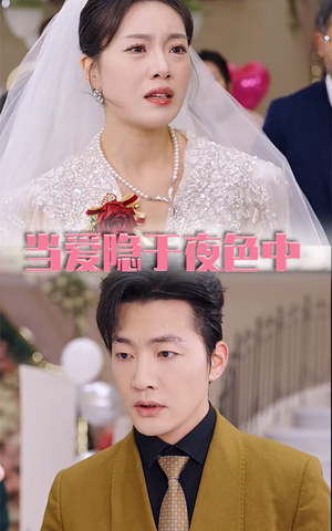 当爱隐于夜色中(37集) 当爱隐于夜色中(37集)短剧完整版免费