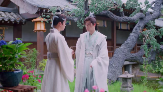 红颜无双（24集）免费短剧资源