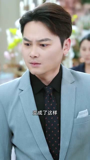 以雅以南（35集）免费观看就是爽