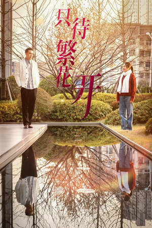 只待繁花开（35集）短剧全集完整