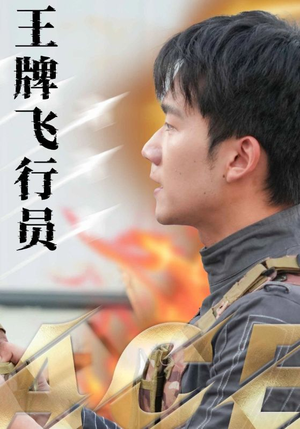 王牌飞行员(71集) 王牌飞行员(71集)免费观看