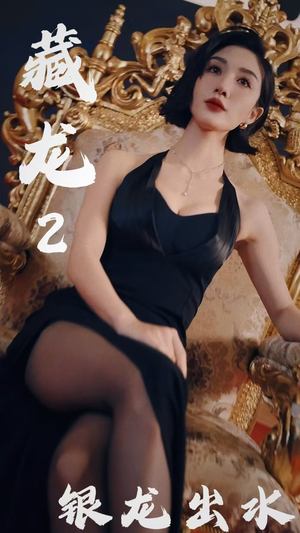 藏龙2银龙出水(35集) 藏龙2银龙出水(35集)爆火短剧追不停