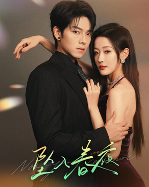 坠入春夜 坠入春夜真的好看吗