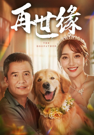 再世缘(41集) 再世缘(41集)第一季