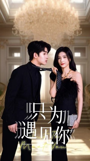 只为遇见你(88集) 只为遇见你(88集)温柔追捕短剧