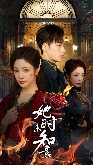 她时未知意（70集）一起追短剧