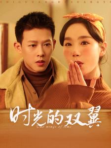 时光的双翼（94集）高清画质免费看