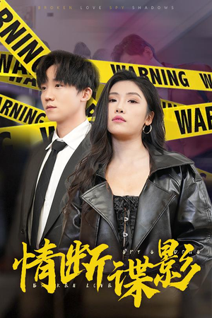 情断谍影(30集) 情断谍影(30集)免费短剧大全