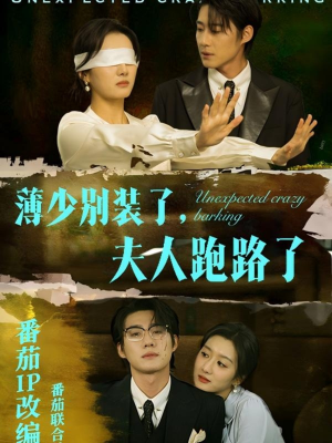 薄少别装了夫人跑路了（60集） 免费短剧看全集