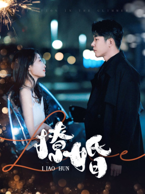 撩婚(90集)  撩婚(90集) 无需会员轻松看