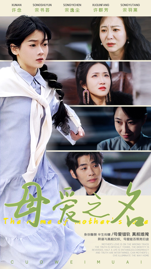 母爱之名(70集)  母爱之名(70集) 一口气追完全集