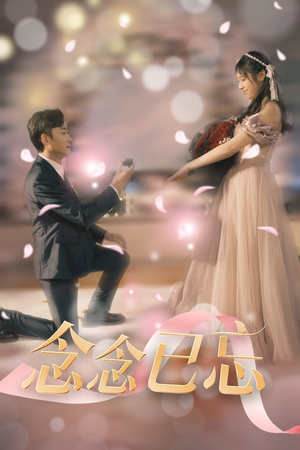 念念已忘(30集)  念念已忘(30集) 短剧在线更新