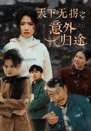 天下无拐之意外归途(61集)  天下无拐之意外归途(61集) 在线观看完整版