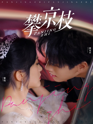 攀京枝(80集)  攀京枝(80集) UC网盘在线看