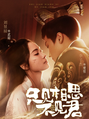 只见相思不见君(82集)  只见相思不见君(82集) 口碑爆棚免费看