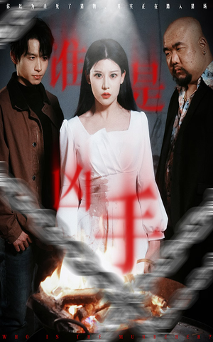 谁是凶手(31集)  谁是凶手(31集) 短剧太好看