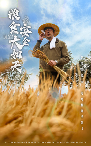 粮食安全大如天（43集） 短剧越看越精彩