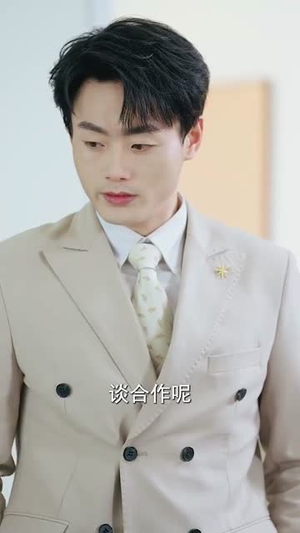 真假宋小姐(70集)  真假宋小姐(70集) 精彩的网络短剧