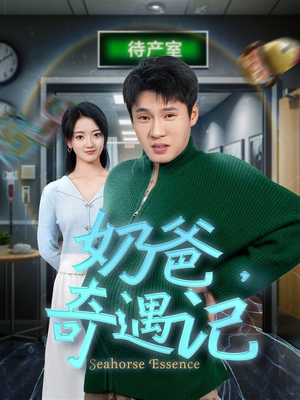 奶爸奇遇记(60集)  奶爸奇遇记(60集) 精彩短剧天天看