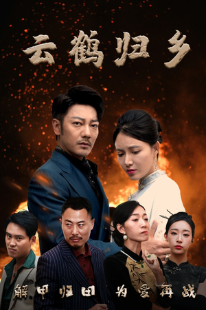 云鹤归乡（65集） 短剧解说热门