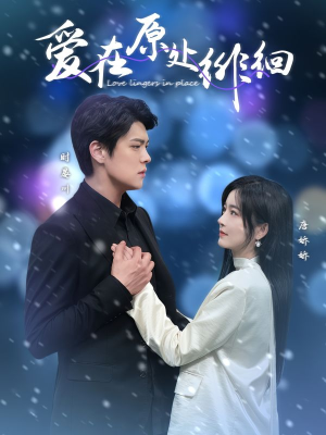 爱在原处徘徊(30集)  爱在原处徘徊(30集) 海量资源免费看
