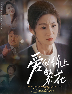 爱似锦上繁花（60集） 视频在线看