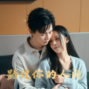 路过你的人间（31集）精彩短剧追不停