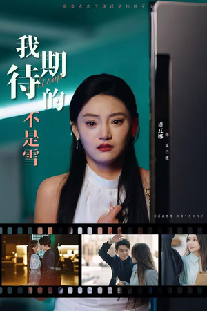 我期待的不是雪(30集) 我期待的不是雪(30集)精彩片段